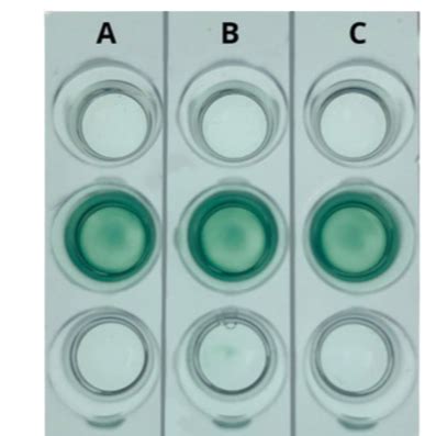 hiv 1 simulation kit